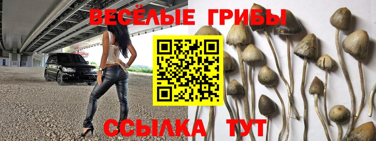 Галлюциногенные грибы Cubensis Волжский
