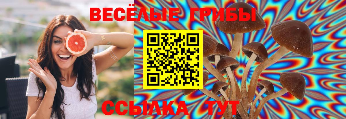 Псилоцибиновые грибы GOLDEN TEACHER  Вход с VPN  Галлюциногенные грибы прущие грибы  Волжский 